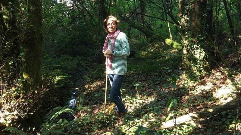 Humedal de A Gu00e1ndara en una foto de change org