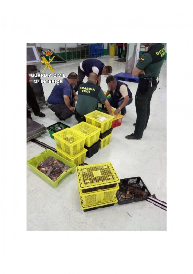 Interceptada una furgoneta que transportaba pescado ilegal procedente de Malpica en la AG-55