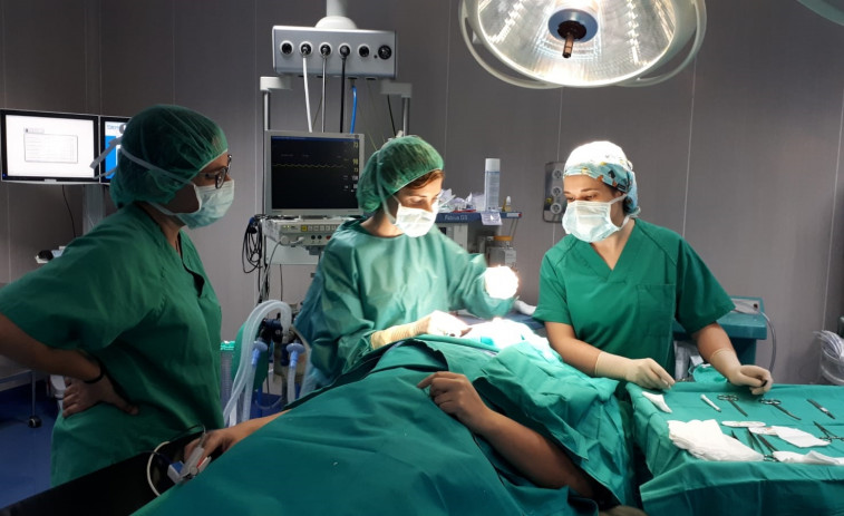 Cerca de 114.000 gallegos son donantes de órganos, con Pontevedra a la cabeza