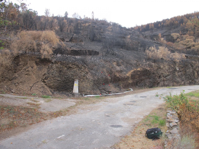 Detenidos dos hombres como presuntos autores materiales de varios incendios forestales el pasado mes en Lugo