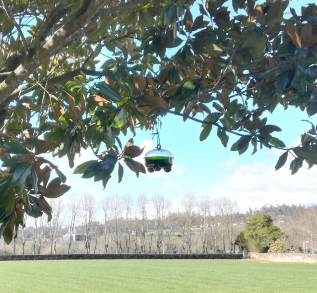 Trampa Vespa Velutina