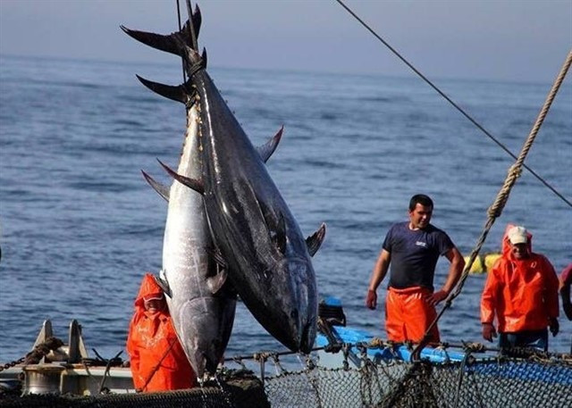 El brote da Mariña cruza fronteras: marinero de un atunero procedente de Burela da positivo en Cantabria