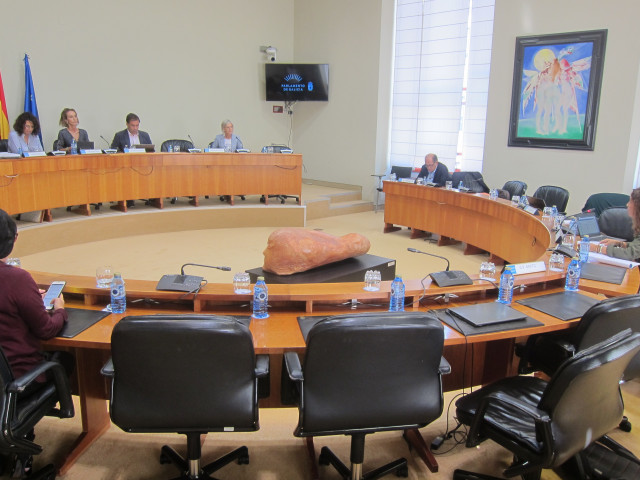 Covadonga Toca en comisión parlamentaria