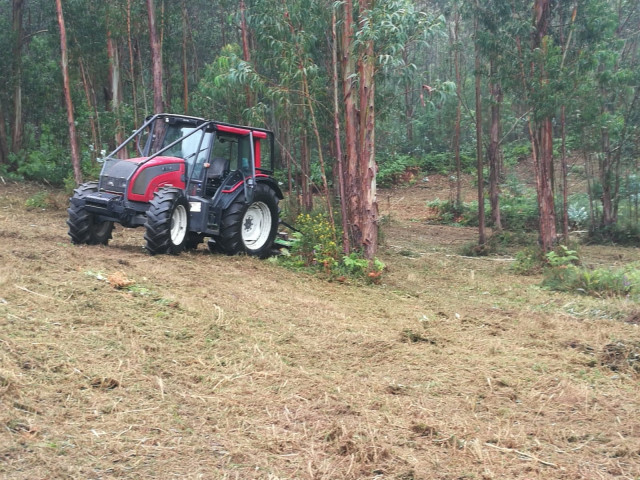 Traballos de limpeza forestal en Galicia