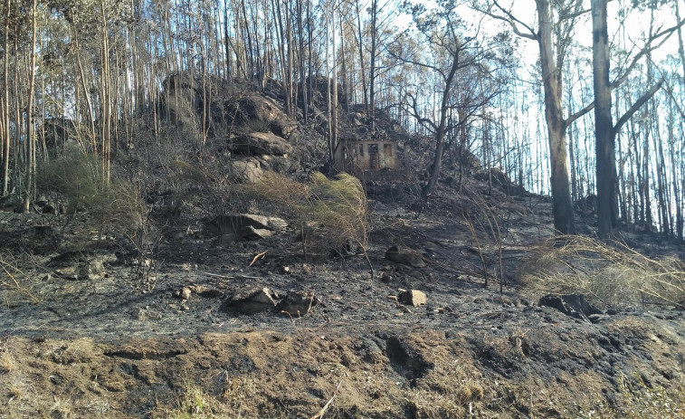 Controlado el incendio forestal de Vilamartín de Valdeorras con 25 hectáreas afectadas