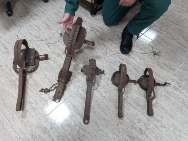 La Guardia Civil interviene cinco cepos en una tienda de antigüedades de Carballedo (Lugo).