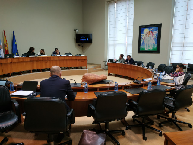 El director xeral de Enerxía e Minas, Ángel Bernardo Tahoces, en la comisión