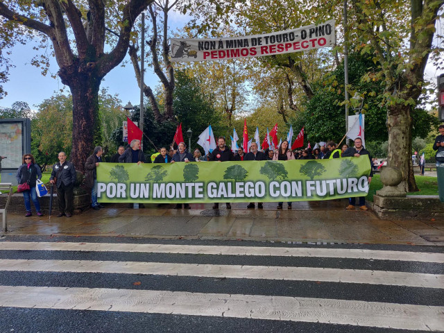 Manifestación en Santiago en defensa del monte gallego