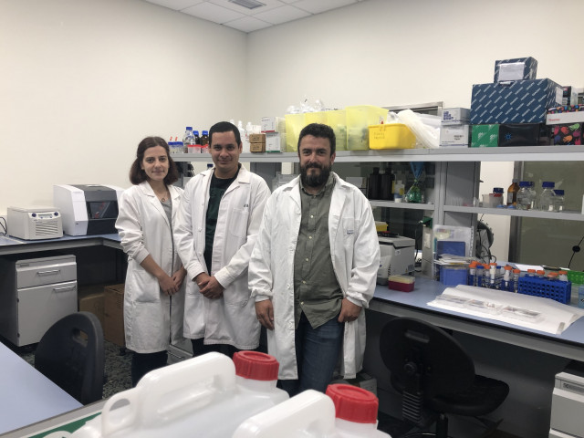 Investigadores del IDIS identifican fármacos capaces de eliminar selectivamente las células envejecidas.