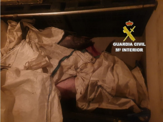 Pez espada que aprehendió la Guardia Civil en Camariñas