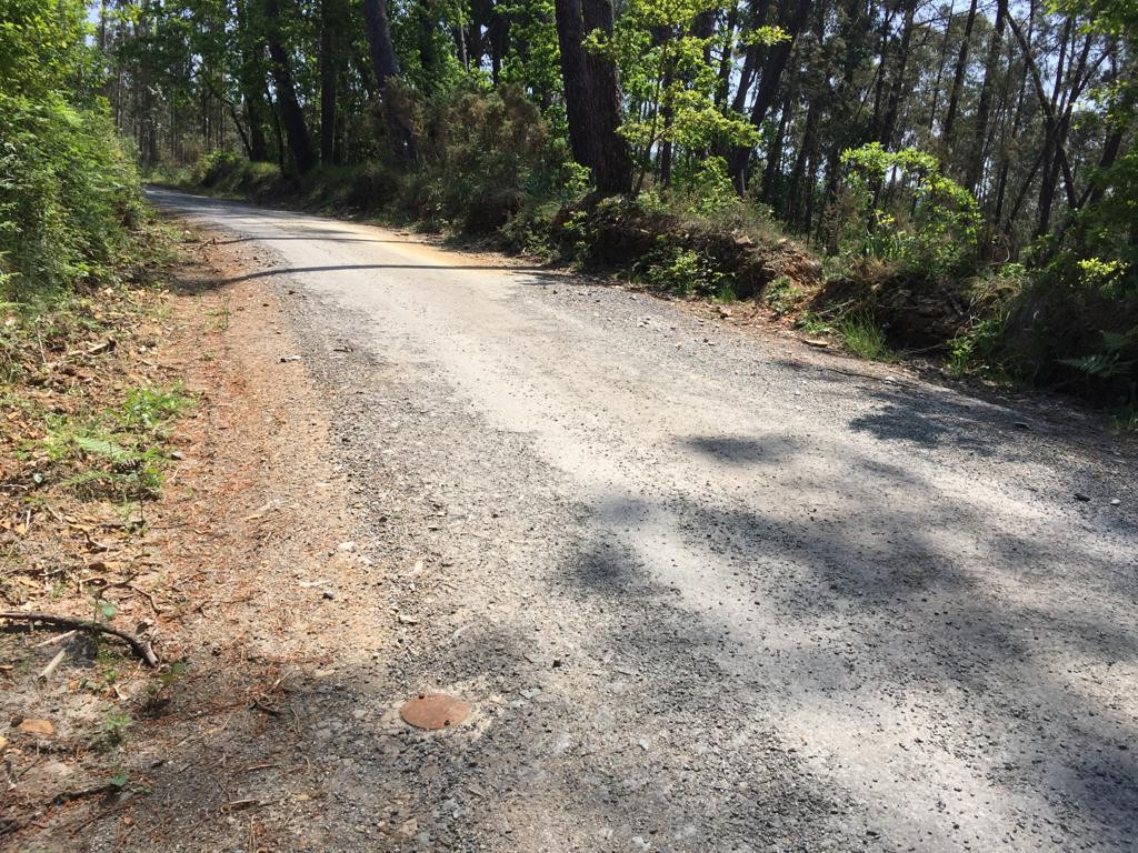 WhatsApp Image 2019 10 26 at 15.21.05