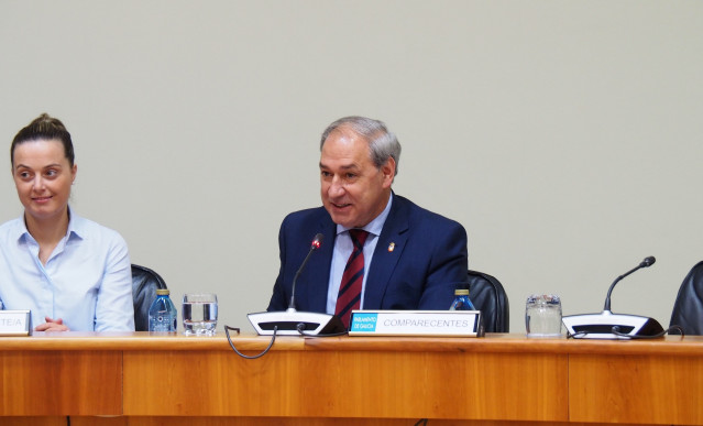 El presidente de la Diputación de Lugo en comisión parlamentaria