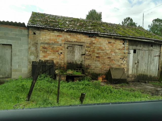 Perro encadenado en Trasmonte, A Estrada (Pontevedra).