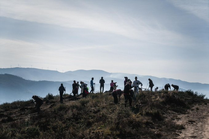 Voluntarios plantarán 1.500 árboles autóctonos en Galicia en una zona arrasada por los incendios