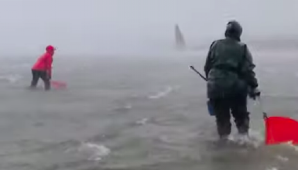 Mariscadoras en cambados un dia de temporal