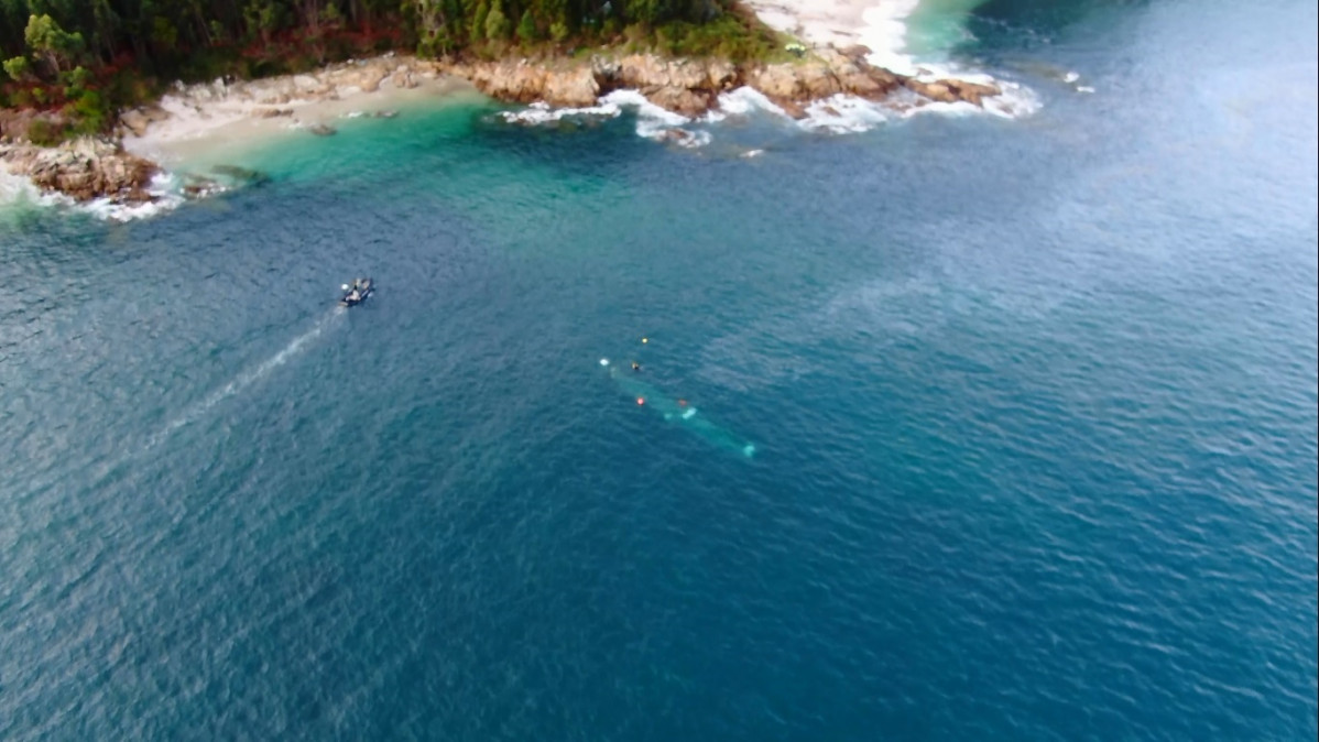 WhatsApp Image 2019 11 26 at 11.14.21