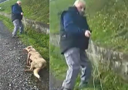 El cazador acusado de matar a la perra Alma declara en el juzgado