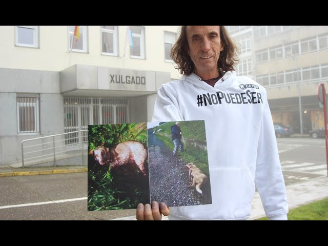 (VÍDEO) El cazador que asesinó a la perrita Alma en Chantada se acoge a su derecho a no declarar