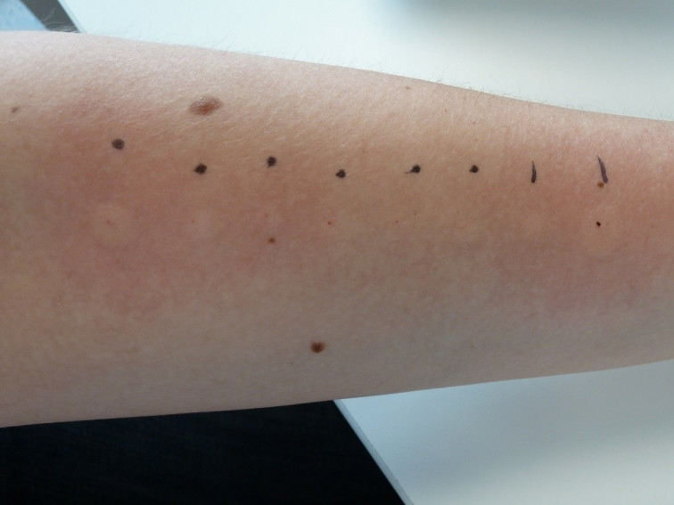 Marisco y frutos secos, principales 