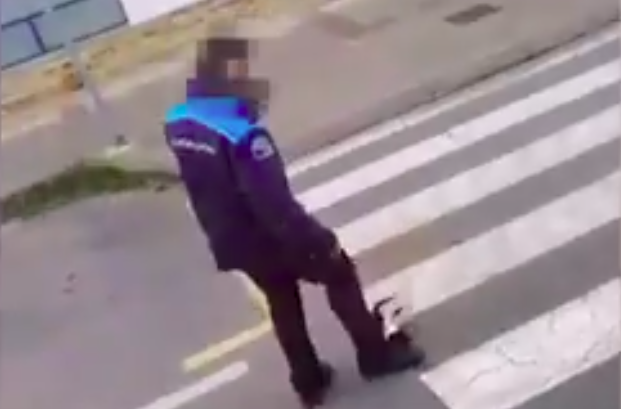 Caputra de pantalla donde un policia local de Pontedeume patea a un gato atropellado
