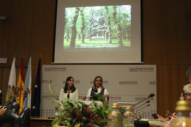 La presidenta de la Diputación de Pontevedra durante la presentación de la campaña de esta institución para Fitur 2020