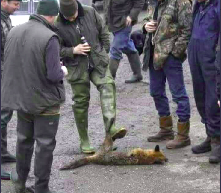 Screenshot from 2020 01 25 19 05 27