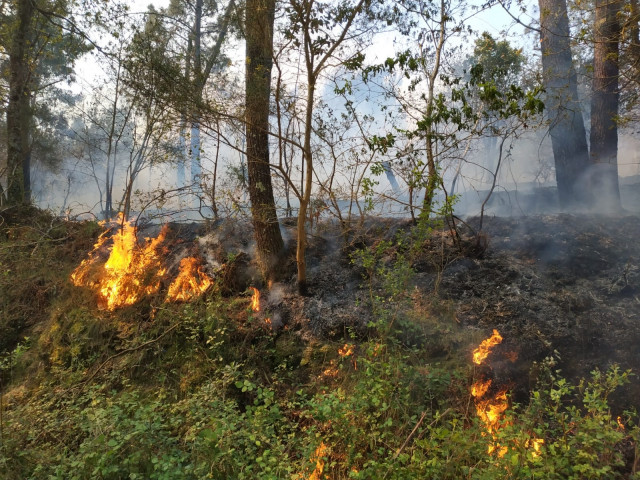 Imagen de archivo de un incendio en Rianxo el 26 de marzo de 2019.