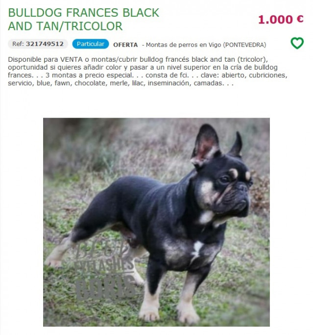 Anuncio de una web de montas de animales