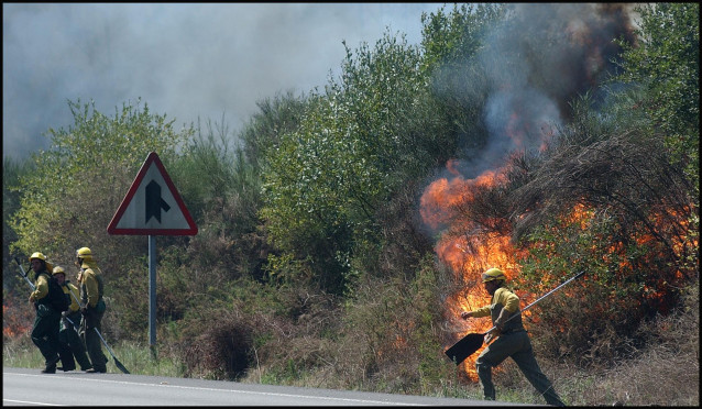 Incendio forestal en Galicia
