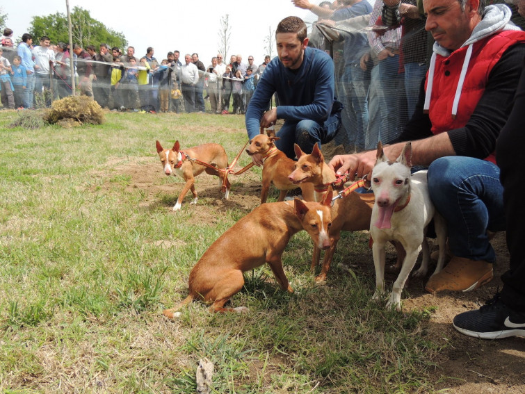 Protestas contra la caza, especialmente contra la caza con perro, en Santiago, Vigo y A Coruña