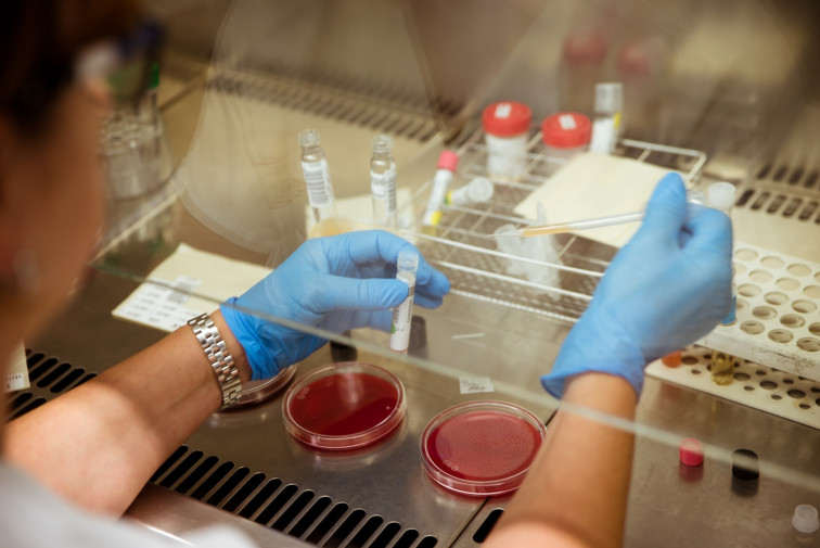 Nuevos brotes de coronavirus, con 13 casos en total, en Vilamarín, Pereiro de Aguiar y Ourense