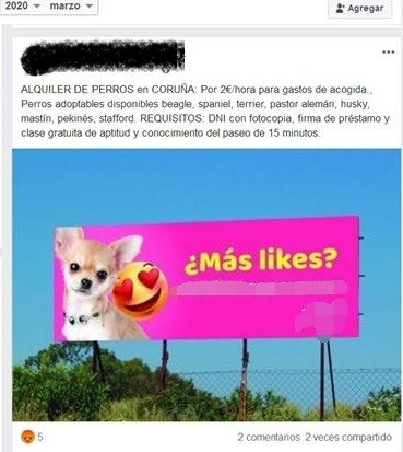 Denunciado un hombre por alquilar a sus perros en A Coruña para sacarlos a pasear durante el estado de alarma.