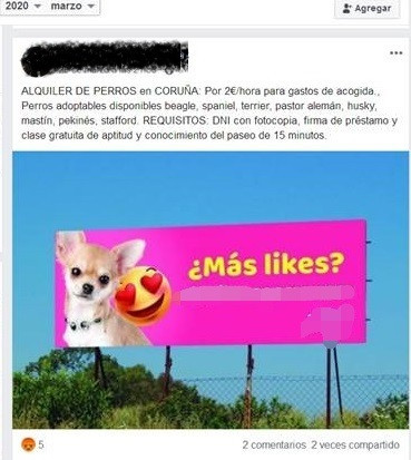 Denunciado  coruñés que alquilaba perros para saltarse el confinamiento