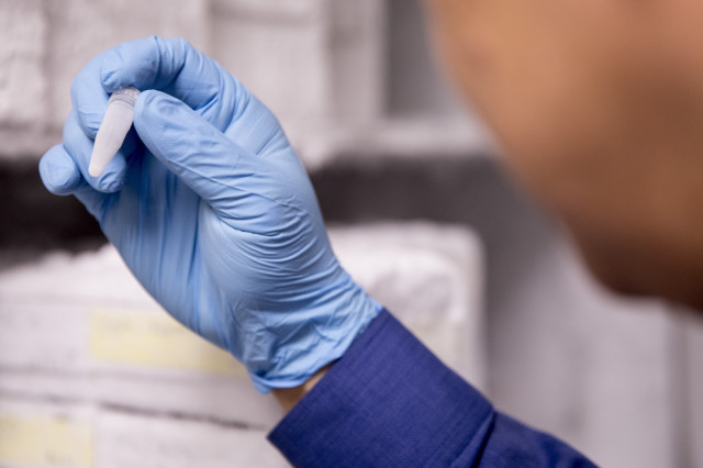 ​La declaración de renta y lo tests para los privilegiados