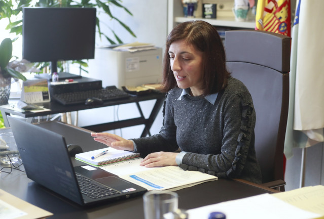 La conselleira de Medio Ambiente, Ángeles Vázquez, en una videconferencia sobre el plan de acción del paisaje de la Ribeira Sacra