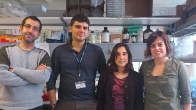 Los investigadores Anxo Vidal, Marcos García, Adriana Martínez Ledo y Erea Borrajo, del Centro Singular de Investigación en Medicina Molecular y Enfermedades Crónicas (CiMUS) de la Universidade de Santiago.