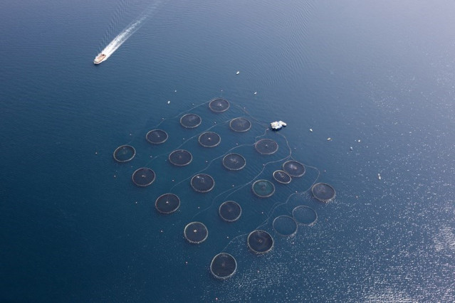 Bateas de mejillones en la ría de Arousa (Pontevedra)