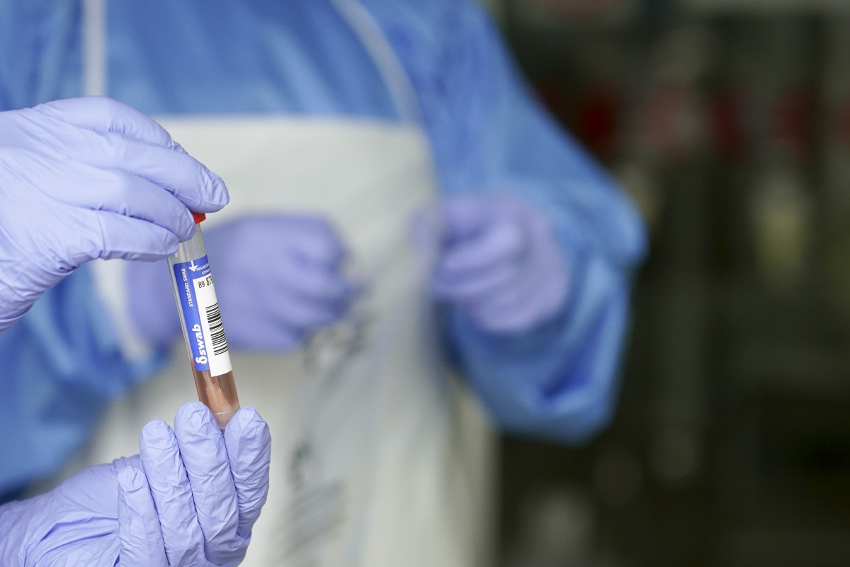 Un sanitario protegido con guantes sostiene un muestra para realizar un Análisis PCR en un local de Diputación de Bizkaia, donde recogen muestras de trabajadores funcionarios que han dado positivo e