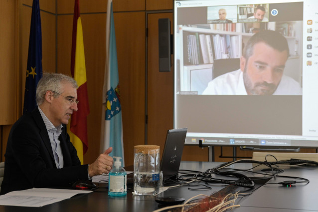 El conselleiro de Economía, Emprego e Industria, Francisco Conde, durante un 'webinario' dedicado a las claves para la recuperación económica.