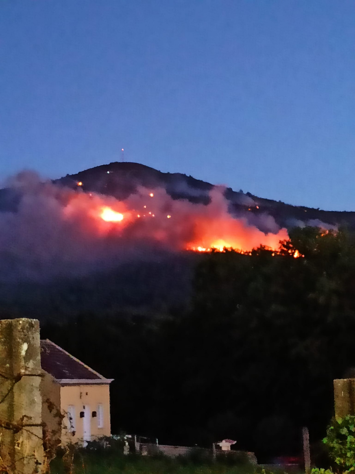 WhatsApp Image 2020 07 11 at 06.30.47