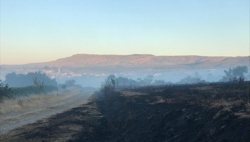 WhatsApp Image 2020 07 27 at 11.42.21