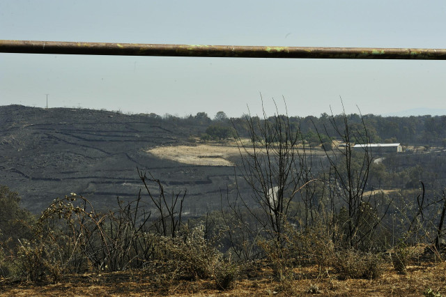 Zona quemada por el incendio de Cualedro (Ourense).