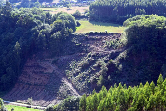 Daños en el entorno del castillo de Penaflor, en Riotorto, denunciados por Mariña Patrimonio