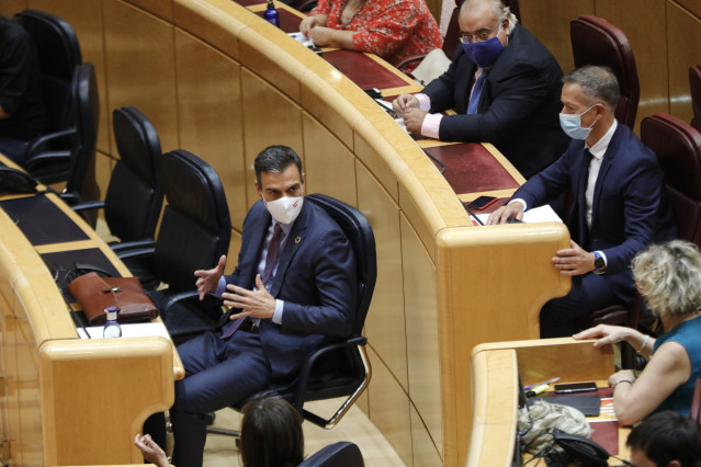 El presidente del Gobierno, Pedro Sánchez, en el hemiciclo del Senado.