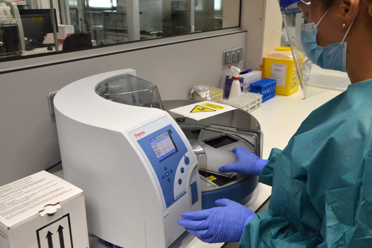Realización de pruebas PCR