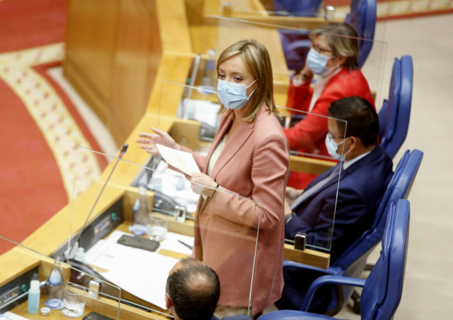 La conselleira de Politica Social, Fabiola García, comparece en el pleno.
