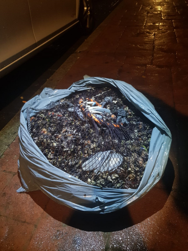 Intervenidos 27,6 kilogramos de percebe extraídos de forma ilegal en A Coruña.