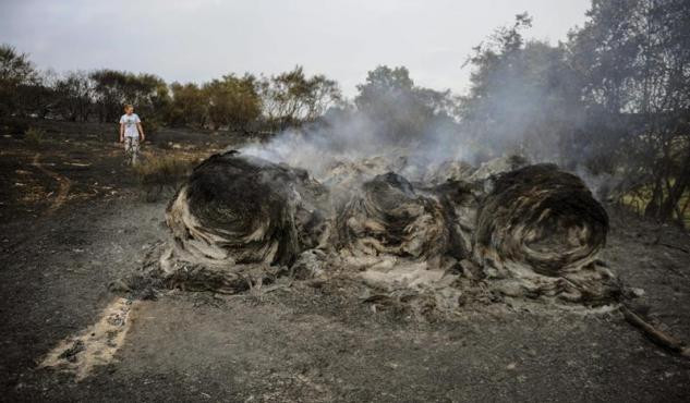 Liberdade con cargos para o octoxenario veciño de Cualedro arrestado como autor do gran incendio