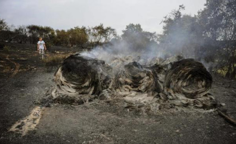 Liberdade con cargos para o octoxenario veciño de Cualedro arrestado como autor do gran incendio