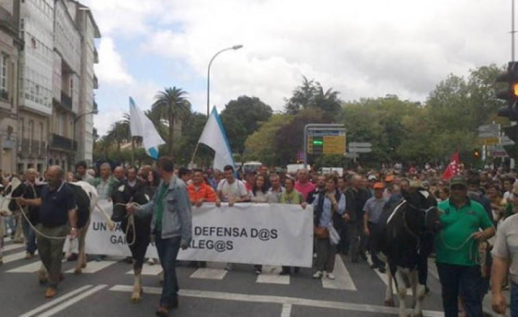 Miles de gandeiros galegos maniféstanse en Santiago para esixir unha solución definitiva